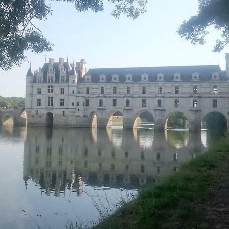 Francueil Gite Rural Chenonceaux المظهر الخارجي الصورة