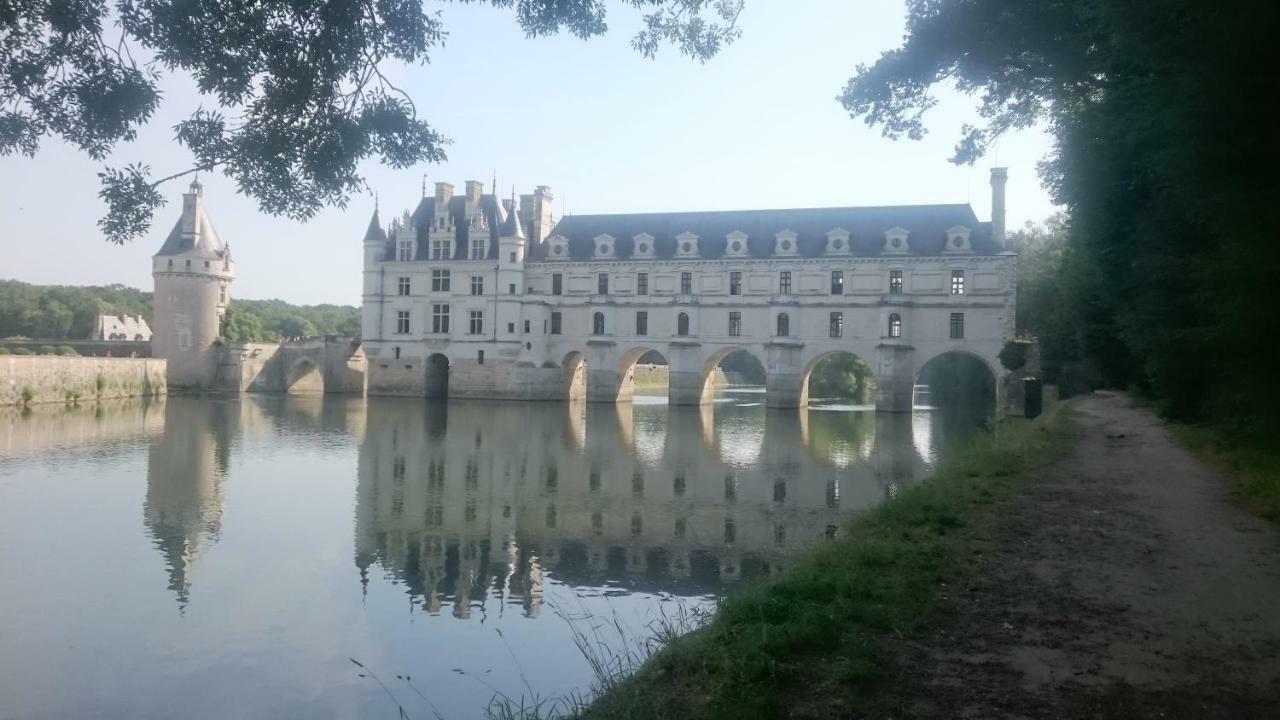 Francueil Gite Rural Chenonceaux المظهر الخارجي الصورة